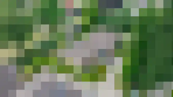 Rozenstraat 79 Didam thumbnail 49