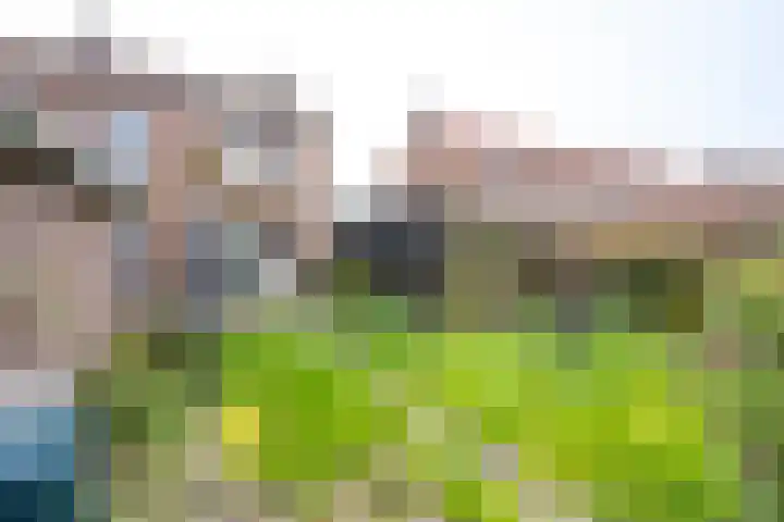 Rozenstraat 8 Eerbeek thumbnail 14