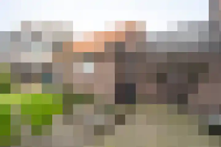 Rozenstraat 8 Eerbeek thumbnail 16