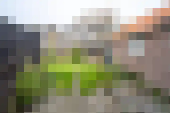 Rozenstraat 8 Eerbeek thumbnail 17