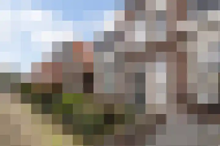 Rozenstraat 80 Almelo thumbnail 42