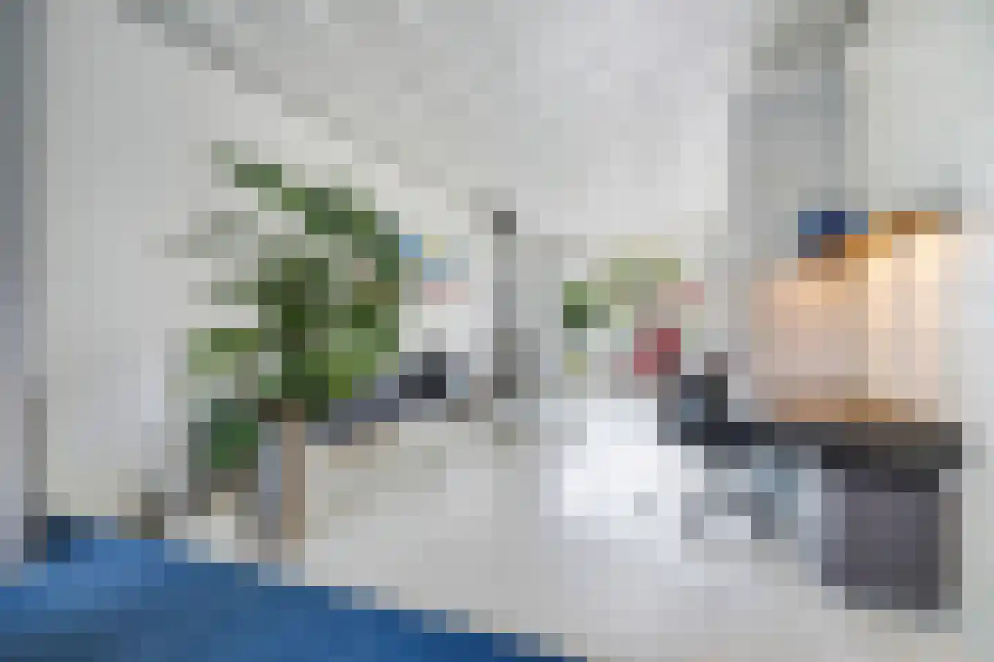 Rozenstraat 91 Den Haag thumbnail 13