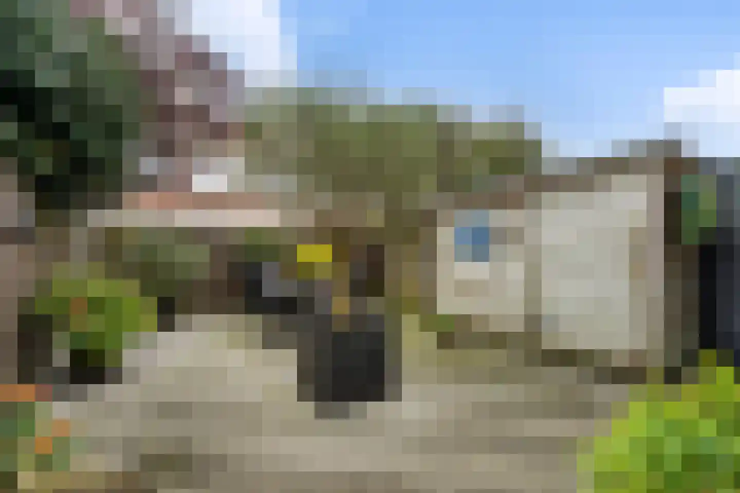 Rozenstraat 91 Den Haag thumbnail 4