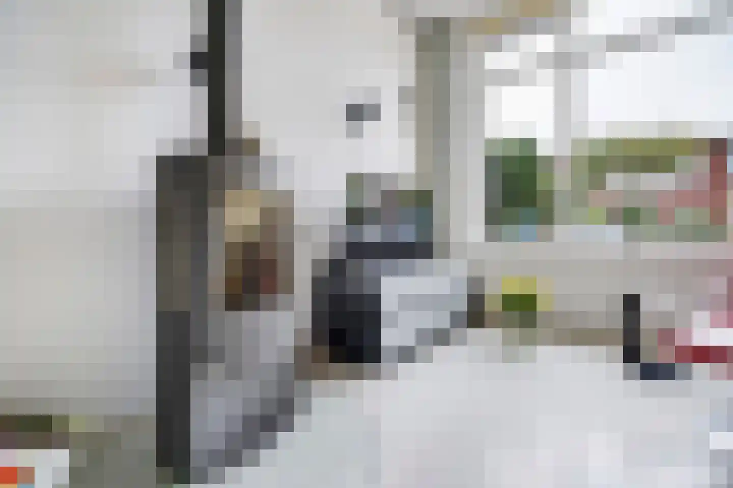 Rozenstraat 91 Den Haag thumbnail 9
