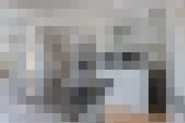 Rozentuin 108 Voorburg thumbnail 12