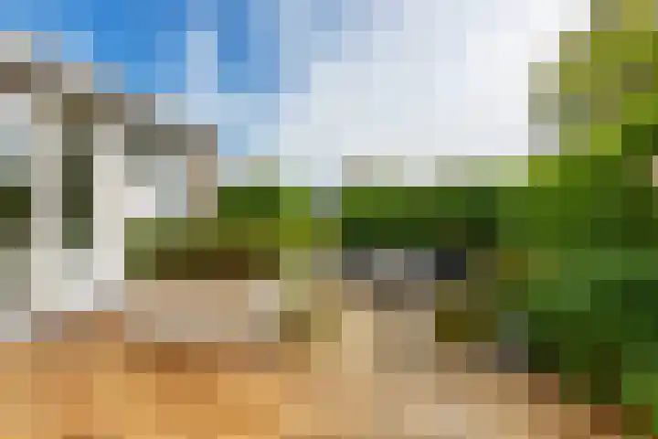 Rozentuin 108 Voorburg thumbnail 13