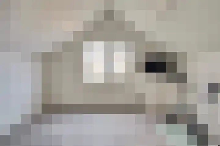 Rozentuin 108 Voorburg thumbnail 17