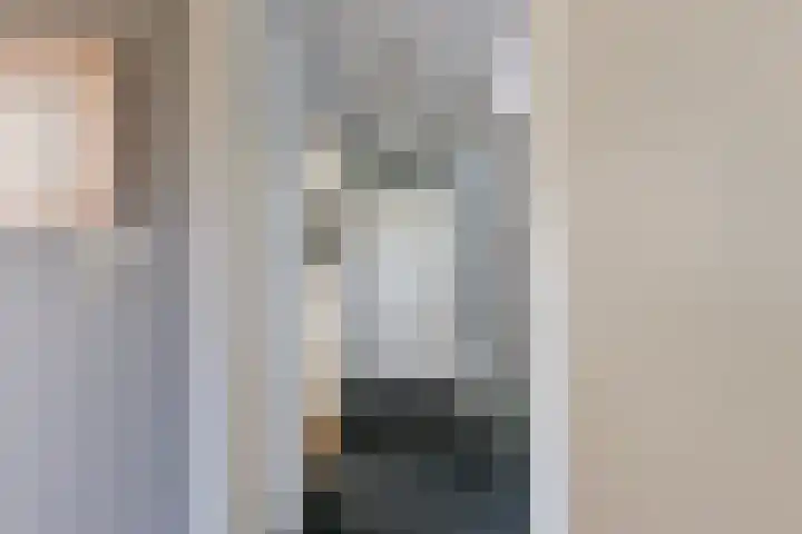 Rozentuin 108 Voorburg thumbnail 17