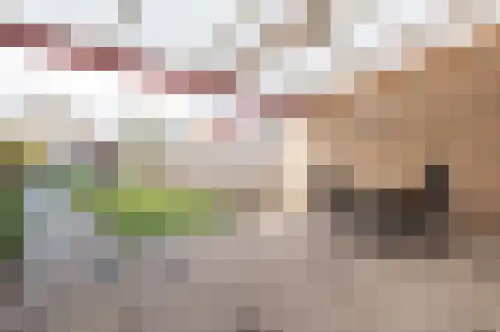 Rozentuin 108 Voorburg thumbnail 18