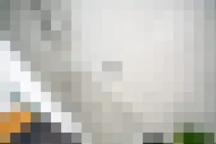 Rozentuin 108 Voorburg thumbnail 19