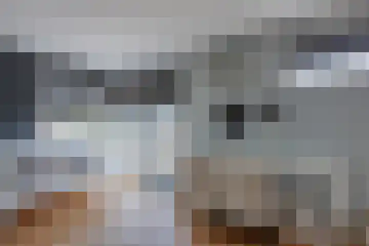 Rozentuin 108 Voorburg thumbnail 26
