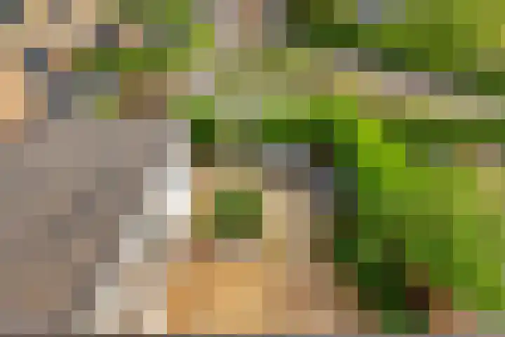 Rozentuin 108 Voorburg thumbnail 27