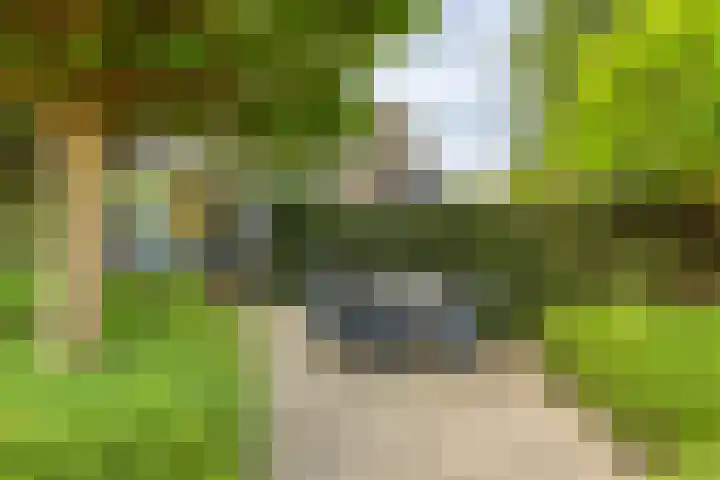 Rozentuin 108 Voorburg thumbnail 31
