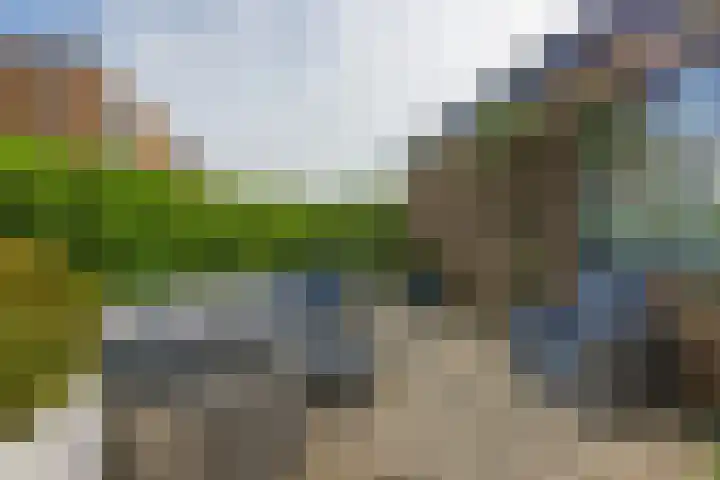 Rozentuin 108 Voorburg thumbnail 32