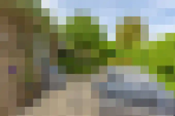 Rozentuin 108 Voorburg thumbnail 33
