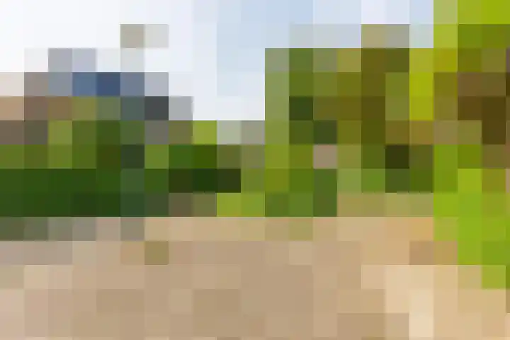 Rozentuin 108 Voorburg thumbnail 34