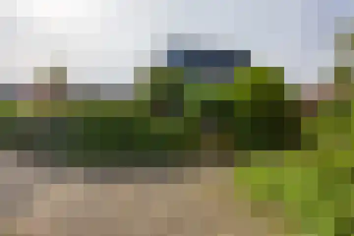 Rozentuin 108 Voorburg thumbnail 41