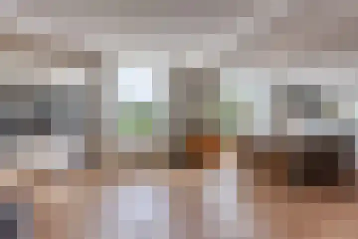 Rozentuin 108 Voorburg thumbnail 5