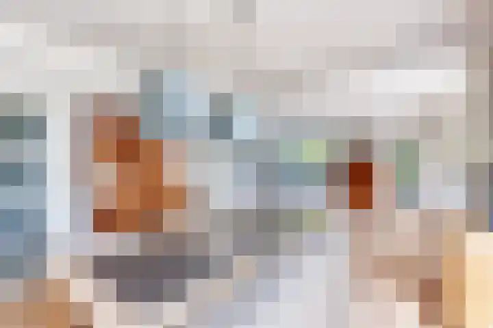 Rozentuin 108 Voorburg thumbnail 6