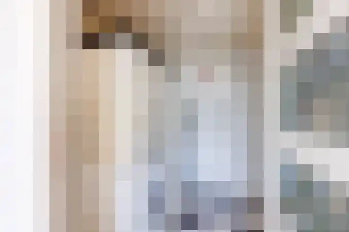 Rozentuin 108 Voorburg thumbnail 7