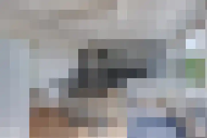 Rozentuin 108 Voorburg thumbnail 9