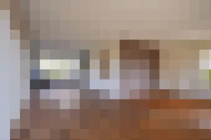 Rozentuin 27 Swifterbant thumbnail 12