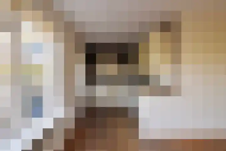 Rozentuin 27 Swifterbant thumbnail 15