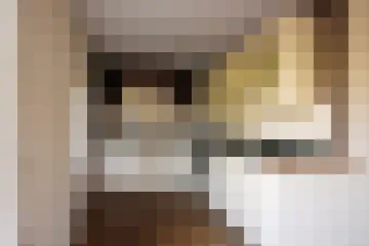 Rozentuin 27 Swifterbant thumbnail 16
