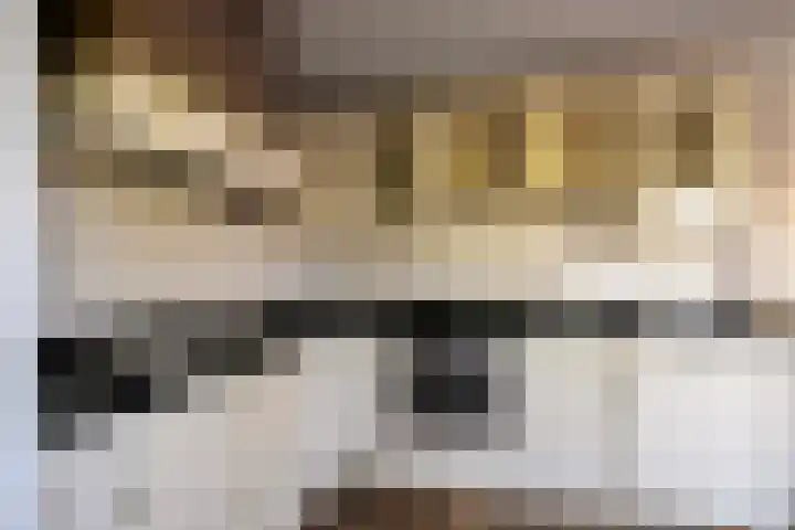 Rozentuin 27 Swifterbant thumbnail 17