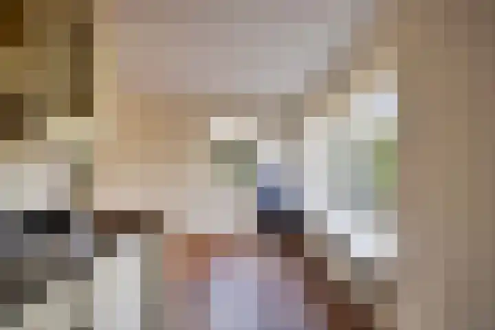 Rozentuin 27 Swifterbant thumbnail 18