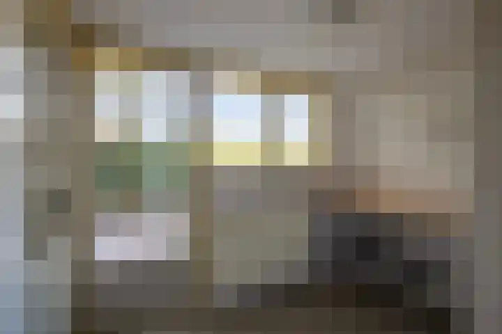 Rozentuin 27 Swifterbant thumbnail 19