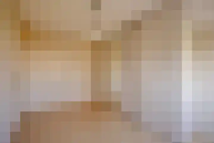 Rozentuin 27 Swifterbant thumbnail 25
