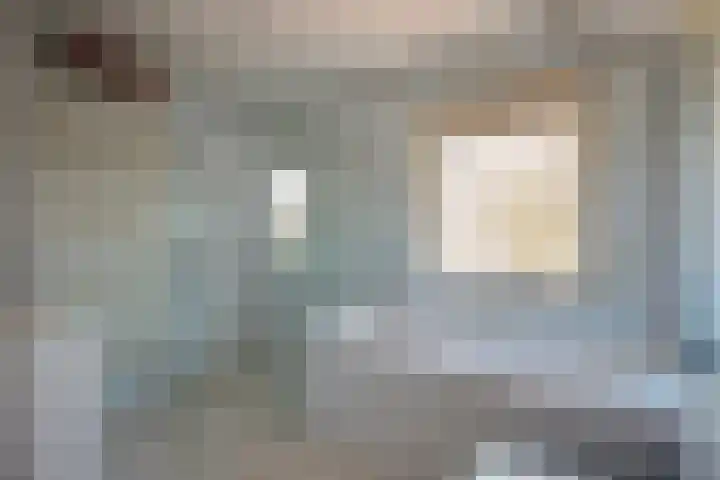 Rozentuin 27 Swifterbant thumbnail 26