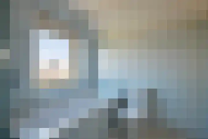 Rozentuin 27 Swifterbant thumbnail 29