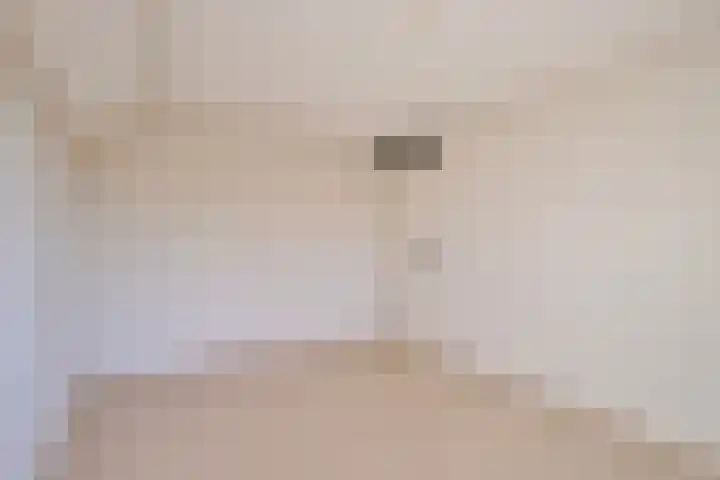 Rozentuin 27 Swifterbant thumbnail 31