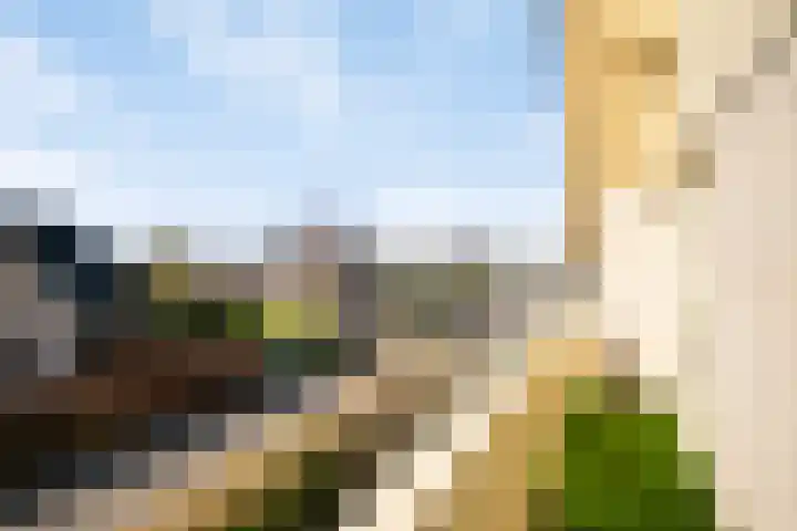 Rozentuin 27 Swifterbant thumbnail 34