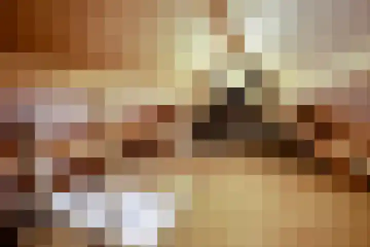 Rozentuin 27 Swifterbant thumbnail 35