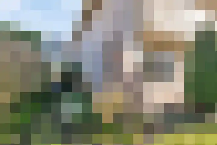 Rozentuin 27 Swifterbant thumbnail 38