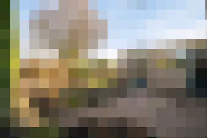 Rozentuin 27 Swifterbant thumbnail 39
