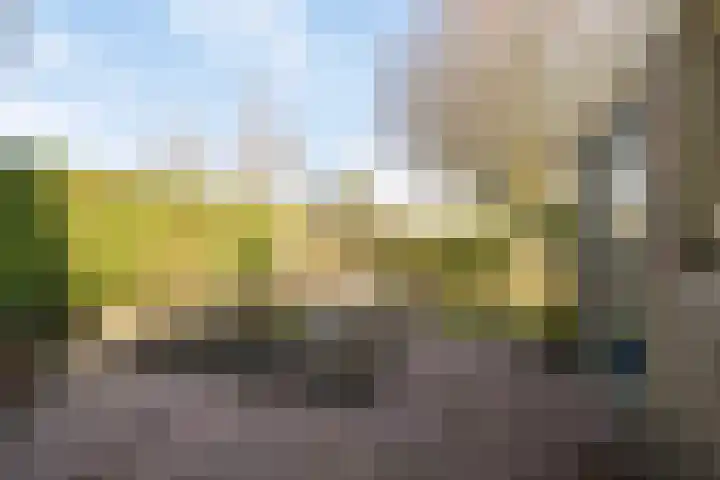 Rozentuin 27 Swifterbant thumbnail 40