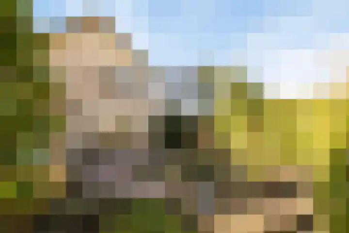 Rozentuin 27 Swifterbant thumbnail 42
