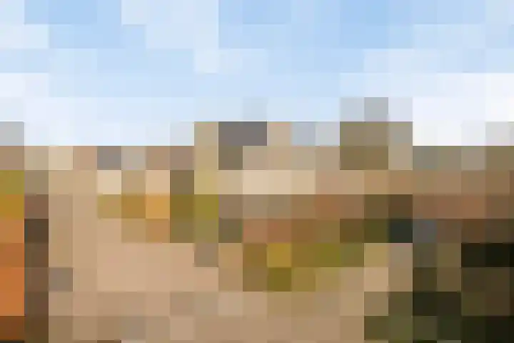 Rozentuin 27 Swifterbant thumbnail 48