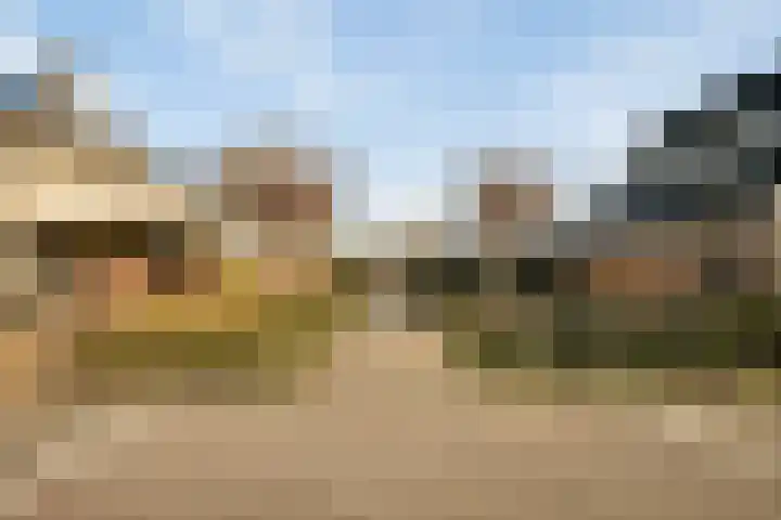 Rozentuin 27 Swifterbant thumbnail 49