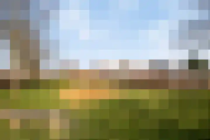 Rozentuin 27 Swifterbant thumbnail 50