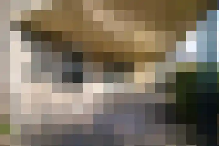 Rozentuin 27 Swifterbant thumbnail 6