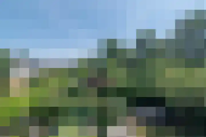Rozenwater 15 Zoetermeer thumbnail 12