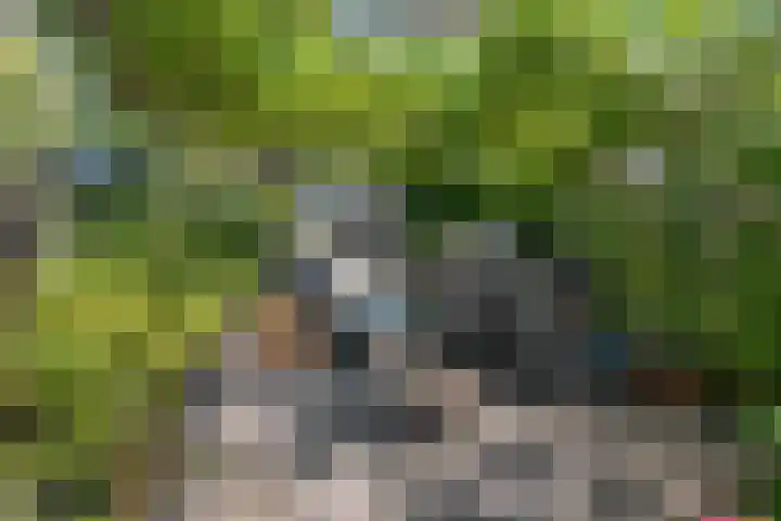Rozenwater 15 Zoetermeer thumbnail 15