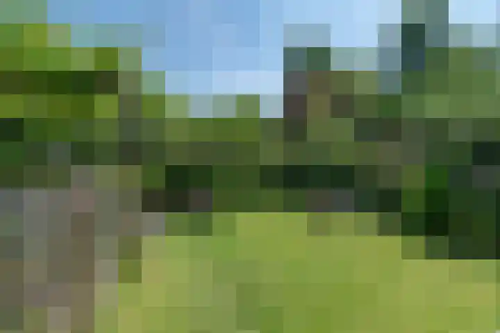 Rozenwater 15 Zoetermeer thumbnail 17