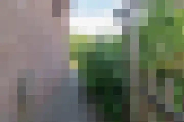 Rozenwater 15 Zoetermeer thumbnail 32