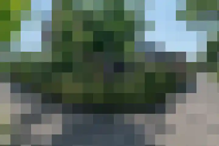 Rozenwater 15 Zoetermeer thumbnail 33